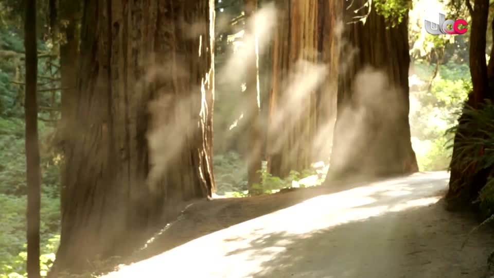 المسلسل الكرتوني - الاليون الصغار - الحلقة 27