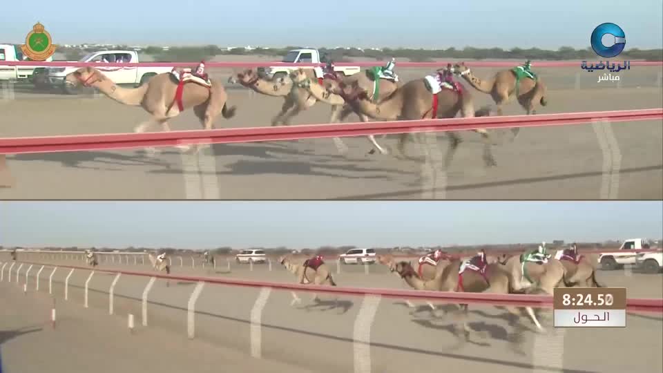 السباق العام لسباقات الهجن الأهلية - ميدان الفليج