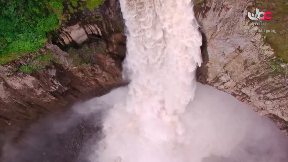 برنامج - تقنيات حيوانية - الحلقة 15