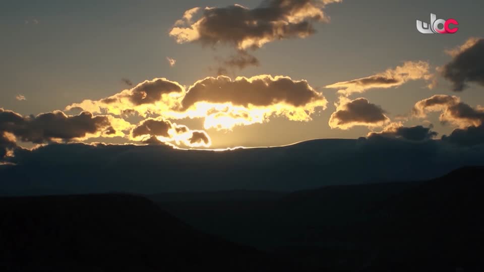 برنامج/طاقة الحياة