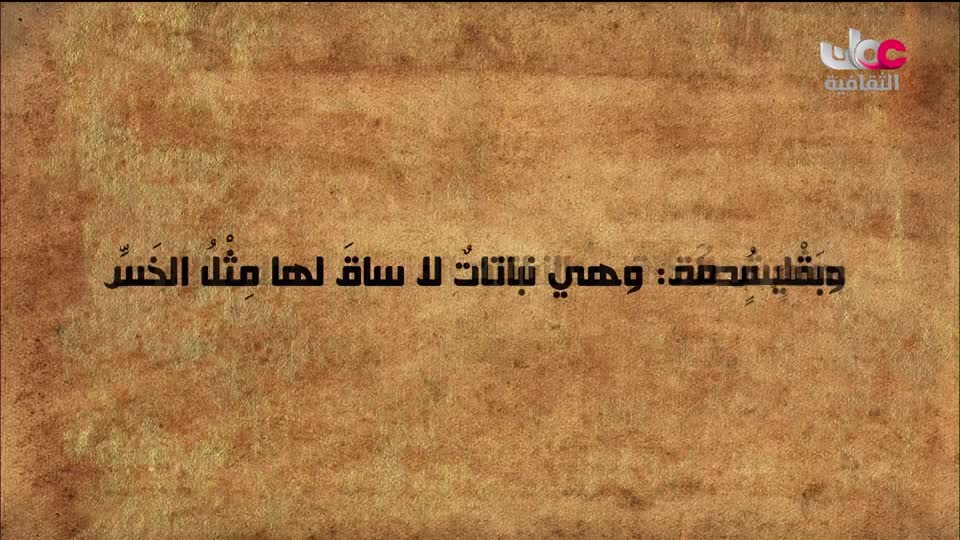 برنامج _ رحلة المخطوط العربي _ج2 - الحلقة 23