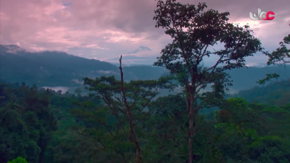 برنامج - تقنيات حيوانية - الحلقة 15