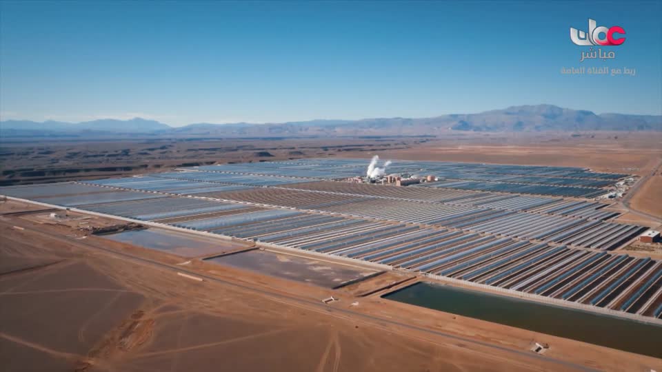 برنامج/طاقة الحياة