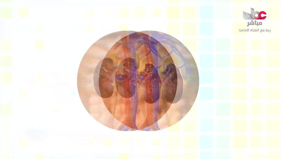 المسلسل الكرتوني - الاليون الصغار - الحلقة 29