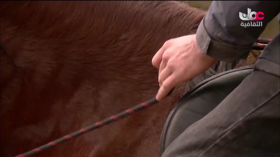 البرنامج الثقافي في خلقه شؤون - الموسم الثاني - الحلقة 26