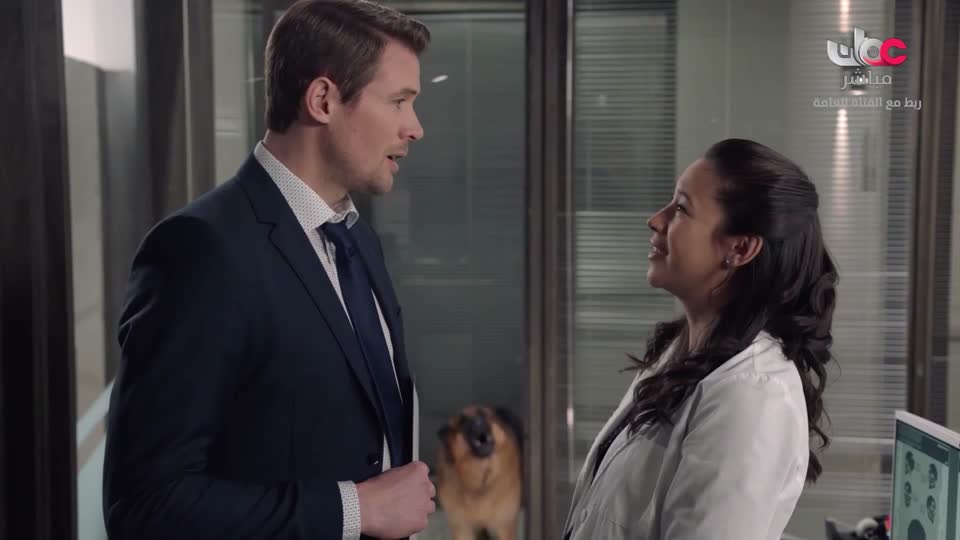 القران الكريم