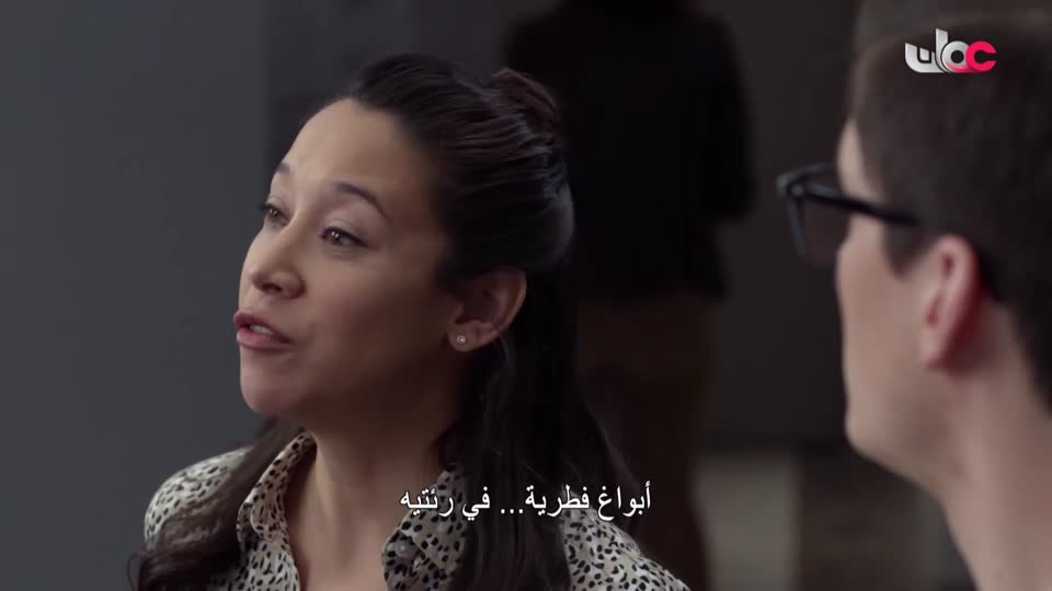 المسلسل البدوي/صقار