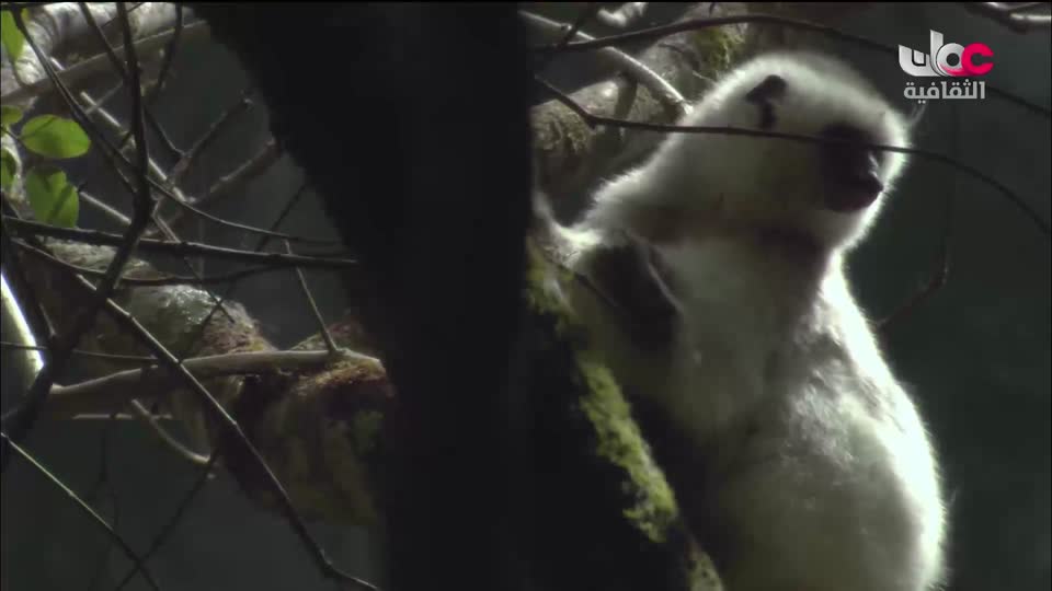 برنامج - غذاء وشعوب - الحلقة 30