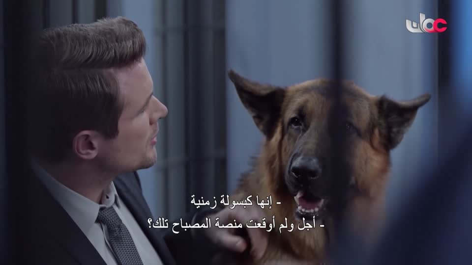 مناشدة+منهاج