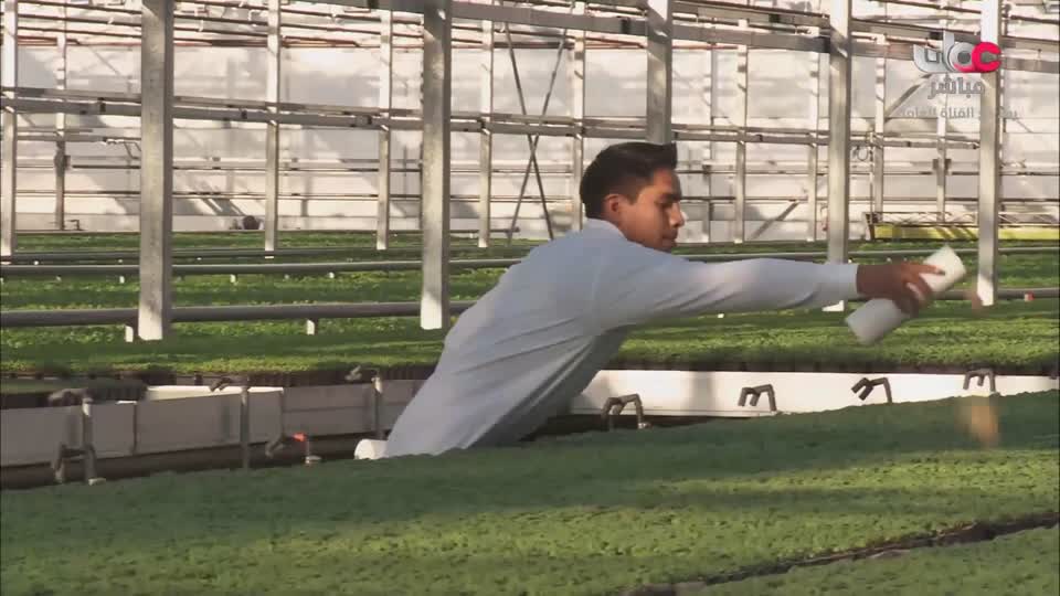 HUDSON AND REX - المسلسل الاجنبي - الحلقة 27