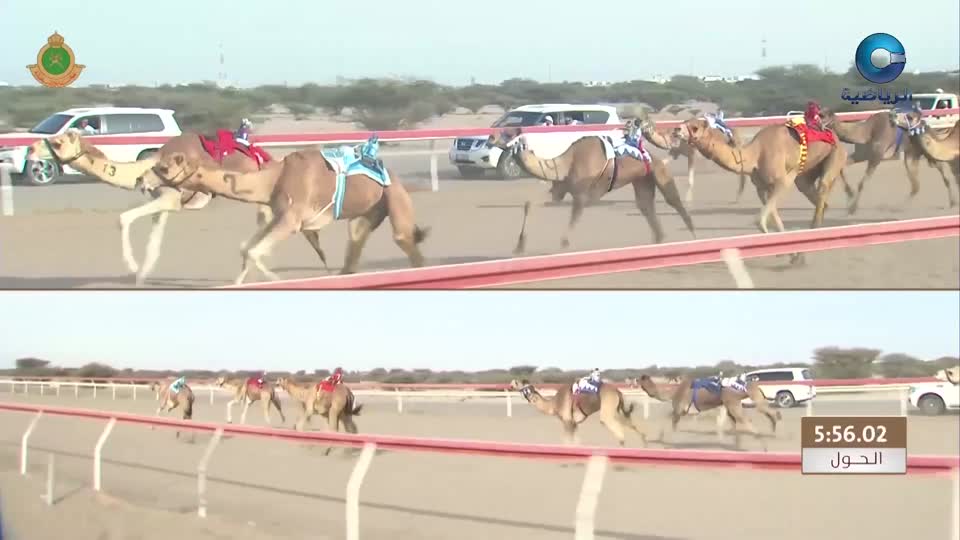 السباق العام للمهرجان السنوي لسباقات الهجن الاهلية - الفليج 2026 - الحلقة 2