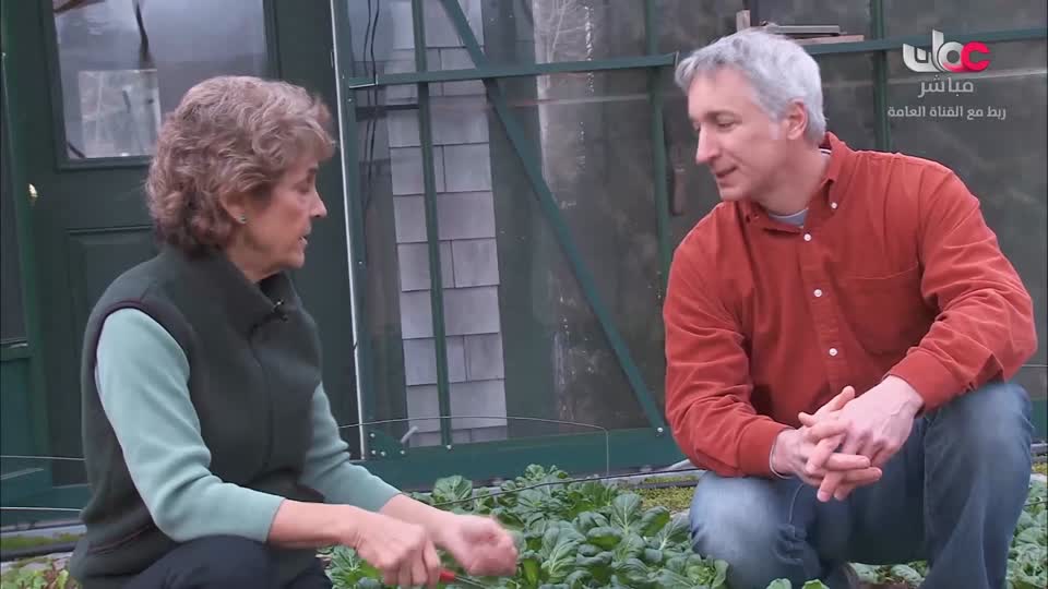 HUDSON AND REX - المسلسل الاجنبي - الحلقة 28