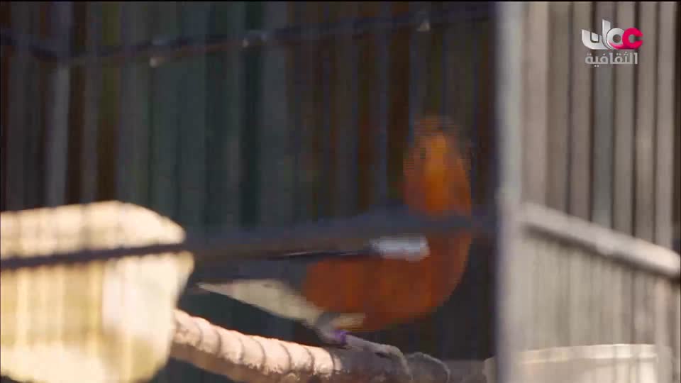 البرنامج الثقافي - أفضل الأسواق على الأرض - الحلقة 8