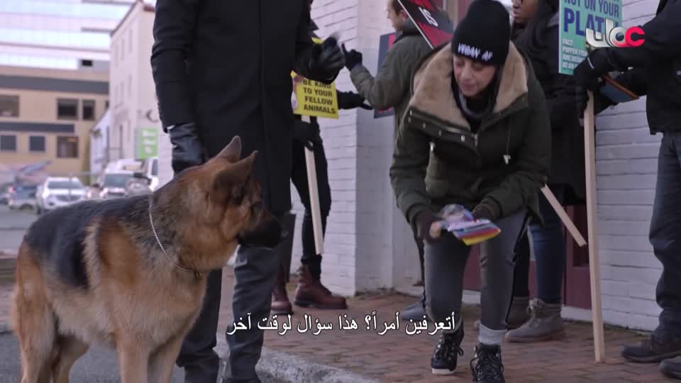 HUDSON AND REX - المسلسل الاجنبي - الحلقة 29