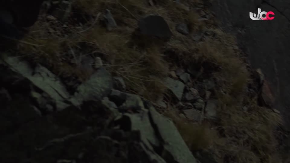 HUDSON AND REX - المسلسل الاجنبي - الحلقة 28