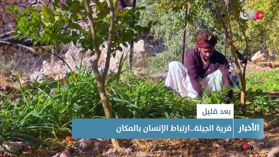 أخبار الثانية