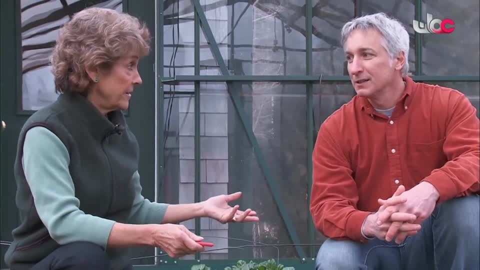 HUDSON AND REX - المسلسل الاجنبي - الحلقة 28