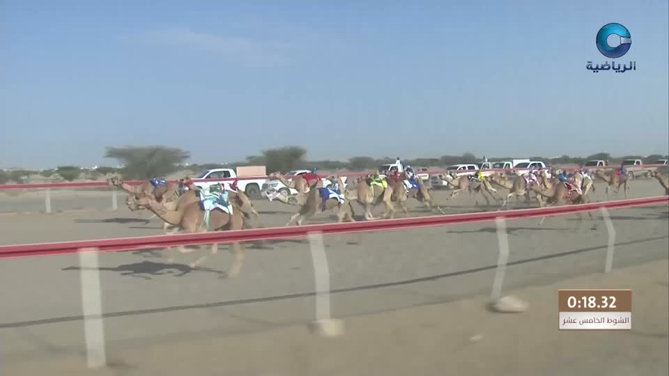 السباق العام للمهرجان السنوي لسباقات الهجن الاهلية - الفليج 2026 - الحلقة 4