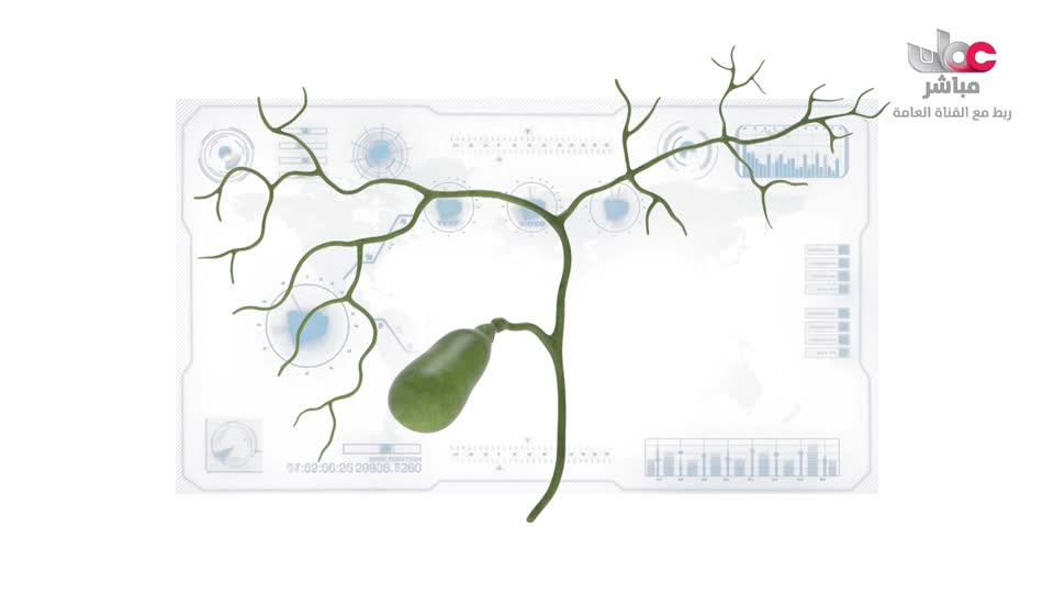 المسلسل الكرتوني - الاليون الصغار - الحلقة 31