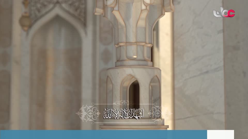 برنامج/أفنان