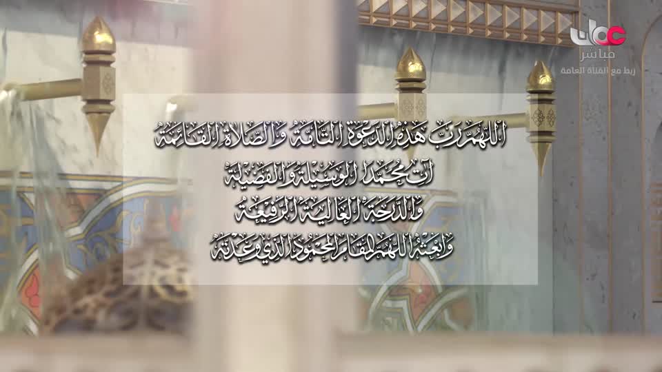 برنامج/أفنان