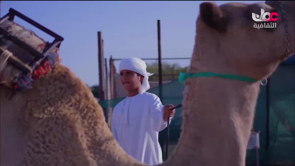 البرنامج الثقافي - هل تعلم ج2 - الحلقة 59