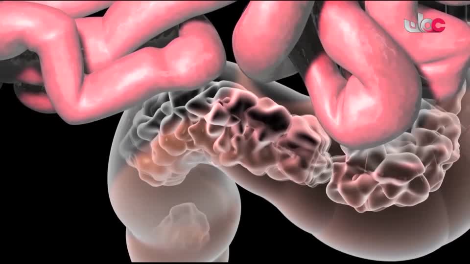 المسلسل الكرتوني - الاليون الصغار - الحلقة 31