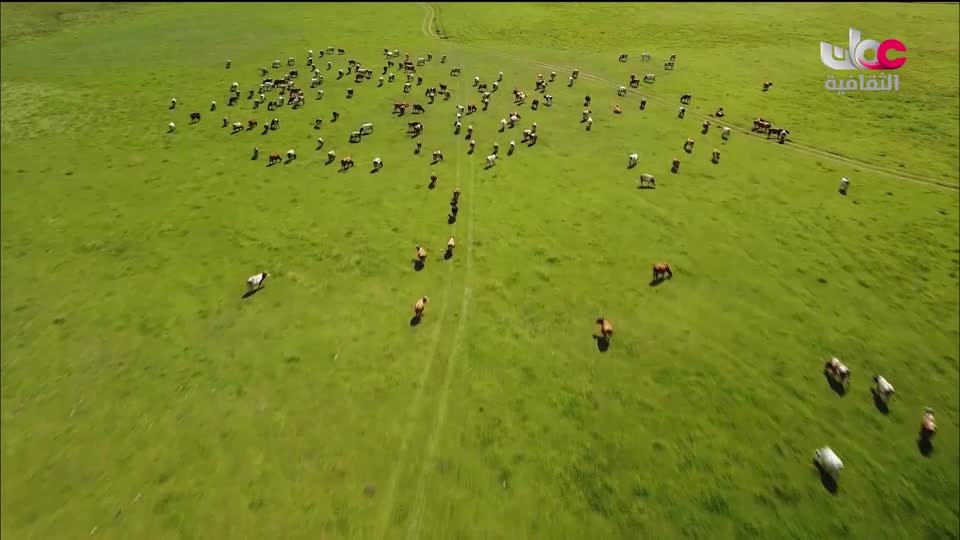 البرنامج الوثائقي - الأمن الغذائي - الحلقة 4