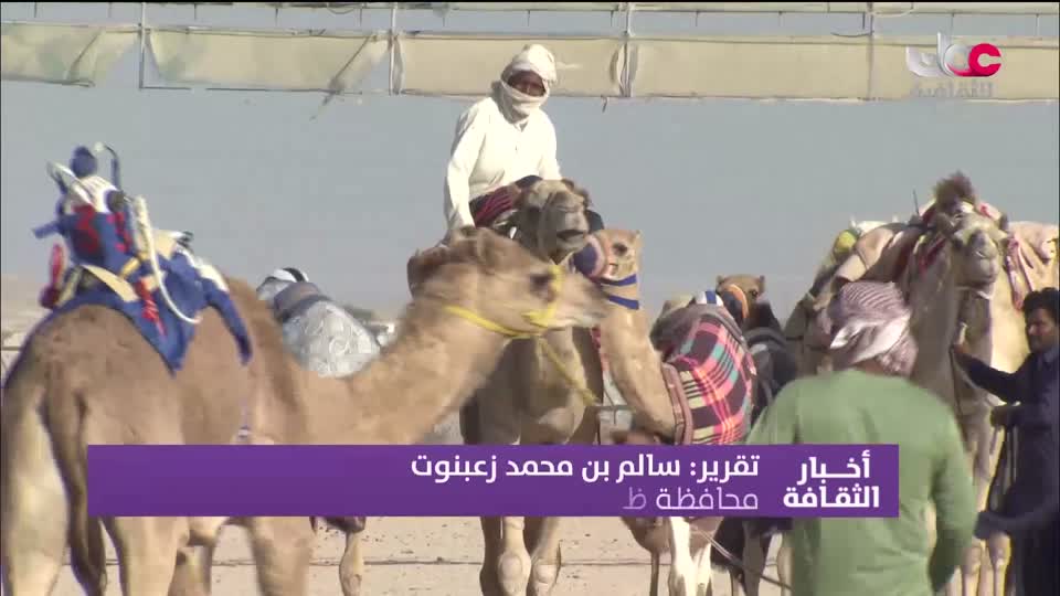 أخبار الثقافة مباشر