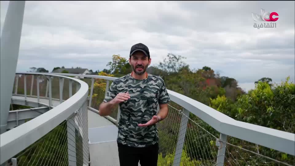 البرنامج الثقافي - أسرار الدماغ ج2