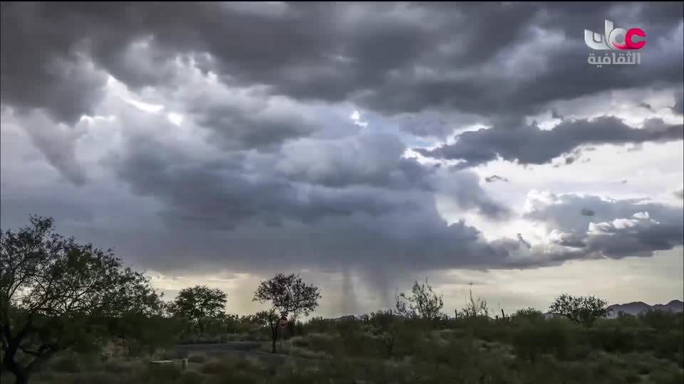 البرنامج الثقافي طرقات وعرة - الحلقة 9