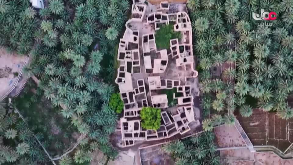 أخبار الواحدة