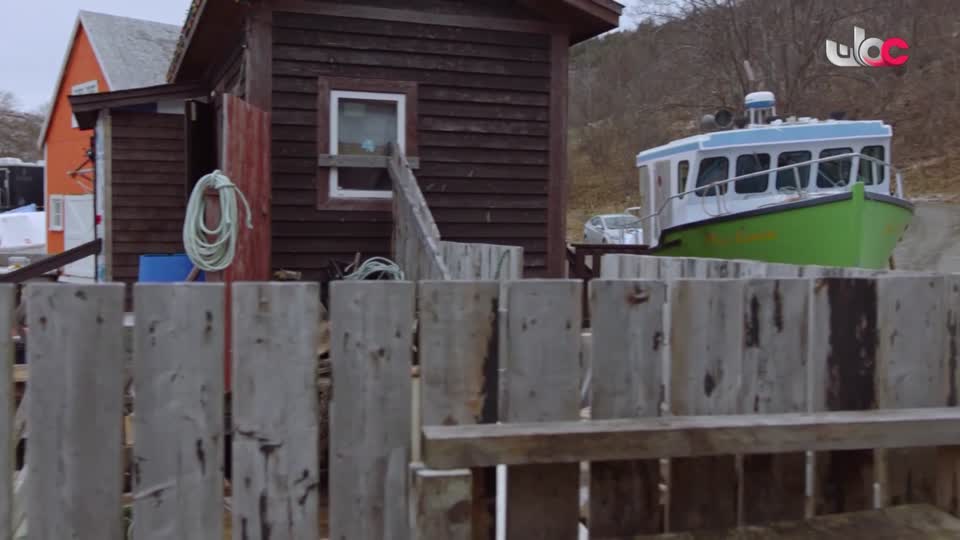 مناشدة+منهاج