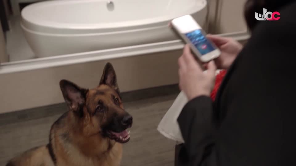 HUDSON AND REX - المسلسل الاجنبي - الحلقة 31