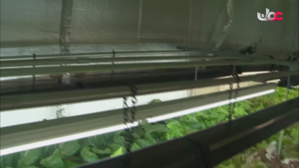 البرنامج الثقافي - نحو عالم أكثر اخضرارا - الحلقة 29