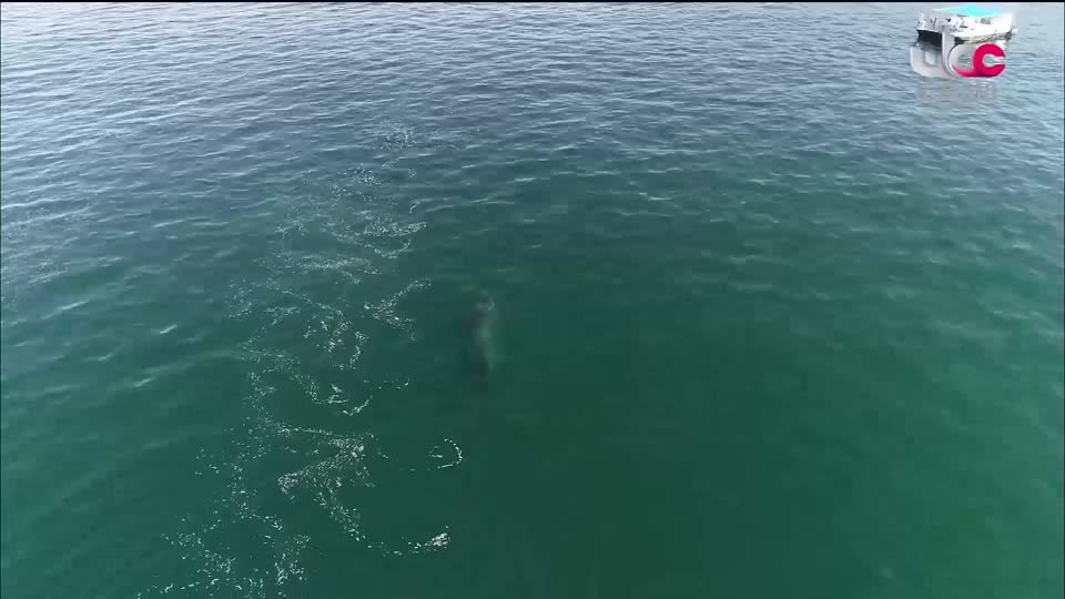 برنامج محلي - ضفاف ج3 - الحلقة 39