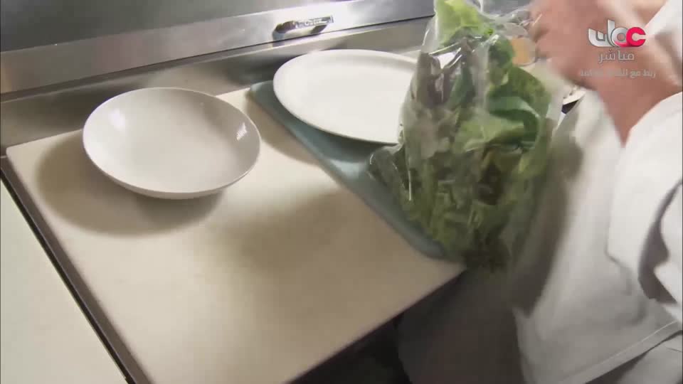 البرنامج الثقافي - نحو عالم أكثر اخضرارا - الحلقة 29