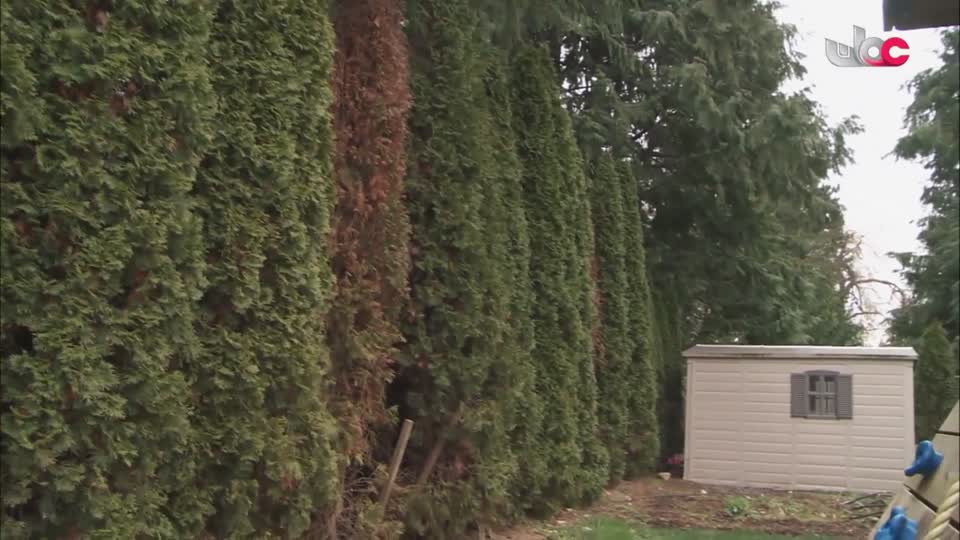 البرنامج الثقافي - نحو عالم أكثر اخضرارا - الحلقة 30