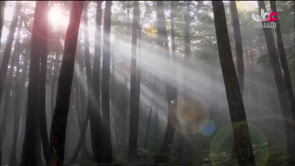 البرنامج الثقافي - الفضاء الشاسع - الحلقة 4