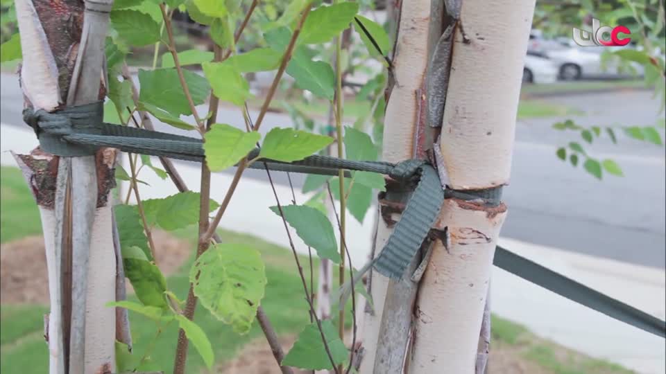 البرنامج الثقافي - نحو عالم أكثر اخضرارا - الحلقة 30