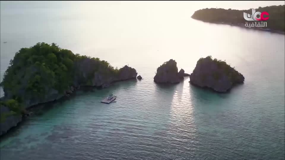 برنامج - عن السينما - الحلقة 4