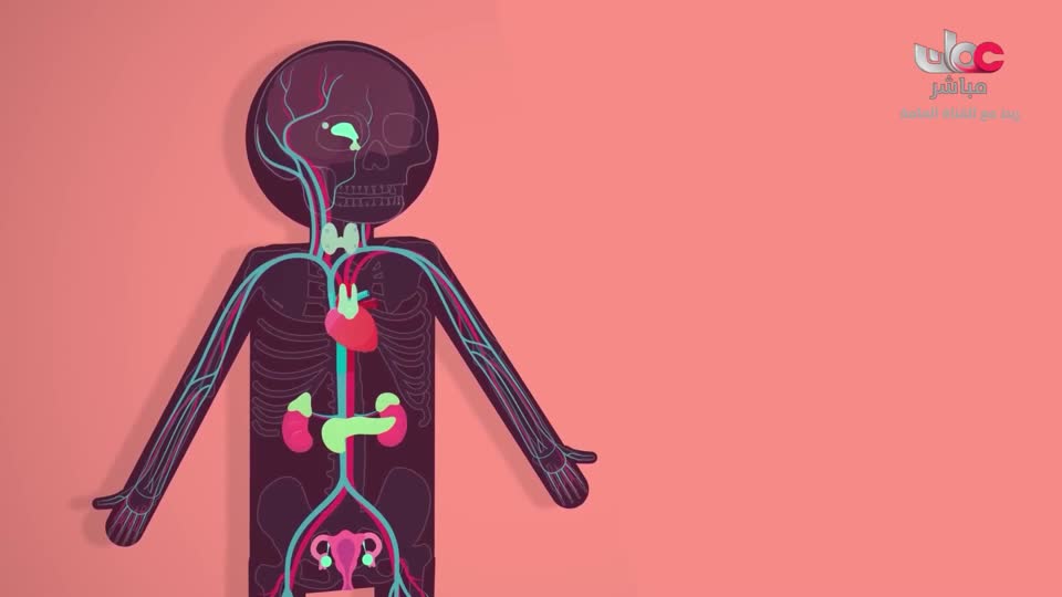 برنامج - اسرار الجسد - الحلقة 30