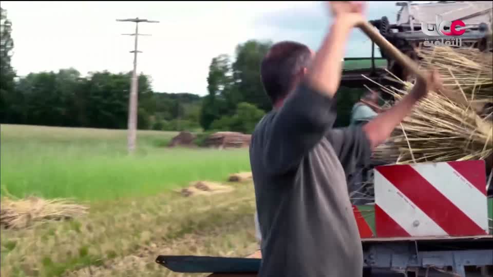 البرنامج الثقافي - ديكورات - الحلقة 10