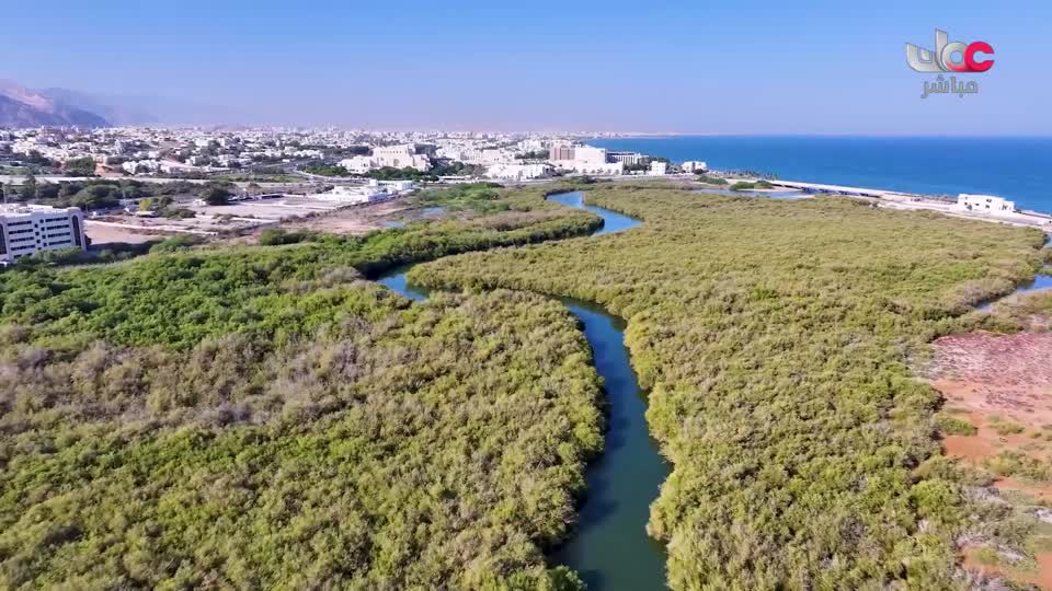 برنامج - من عمان 2025 - الحلقة 168