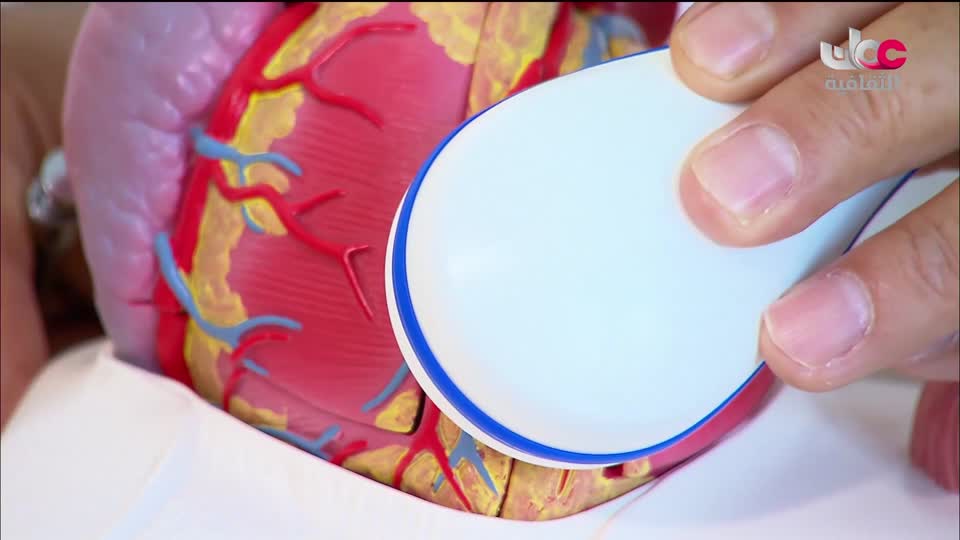 البرنامج الثقافي - العلاج من الطبيعة - الحلقة 1