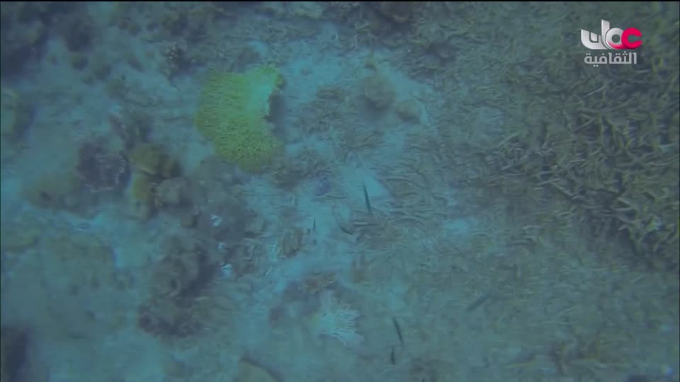 البرنامج الثقافي _ عشاق السفر - الحلقة 5