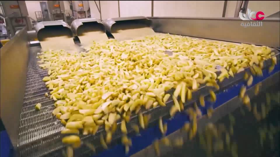 البرنامج الثقافي _ رغم من الصعاب - الحلقة 19