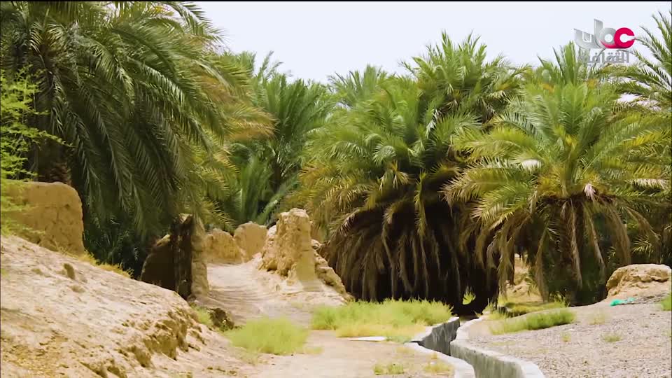 البرنامج الثقافي طرقات وعرة - الحلقة 11