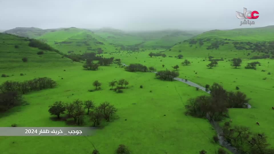 المسلسل الكارتوني للأطفال البؤساء