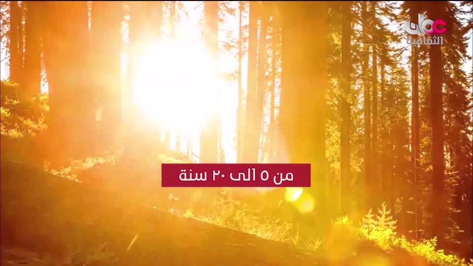 البرنامج الثقافي - عالم الأشجار